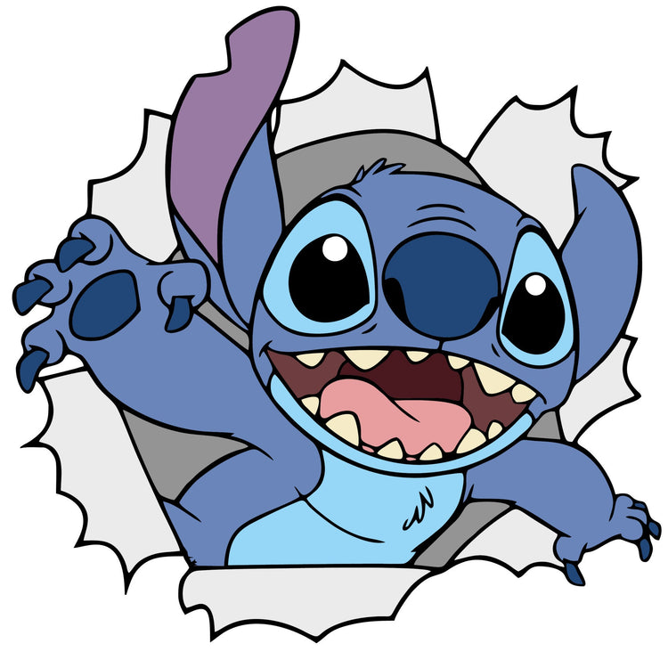 Stitch